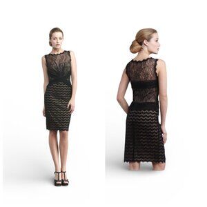 Tadashi Shoji Mixed Lace Pleated Panels Black Nude Cocktail Sheath Dress - Sz 10